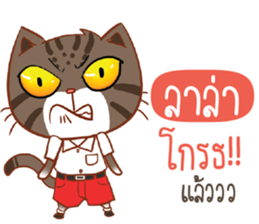 720381439