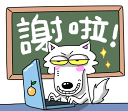 720448210