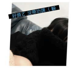 720451341
