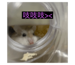 720451342