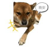 720458687
