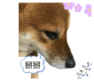 720458689