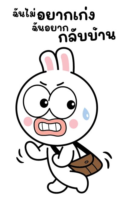 ลายที่ 13