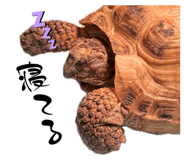 720473202