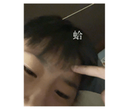 720476305