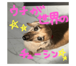 720483517