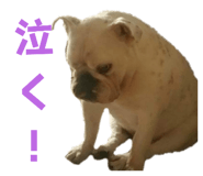 720491701
