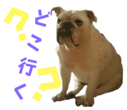 720491703