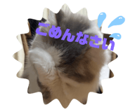 720508748