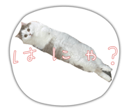 720508765