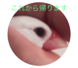720563522