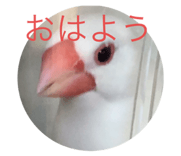 720563527