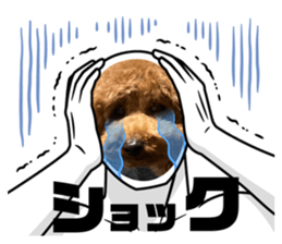 720584238