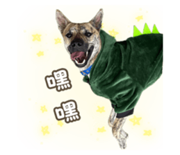 720628547