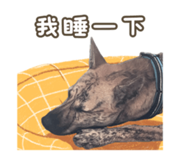 720628551