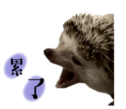 720683349