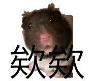 720689082