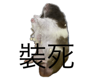 720689086