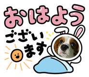 720699953