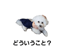 720713570