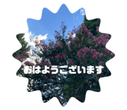 720754051