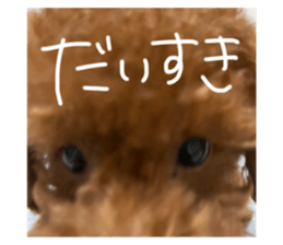720762877