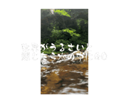 720823024