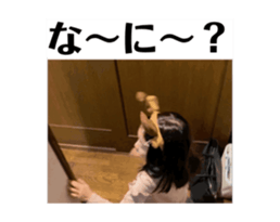 720823993