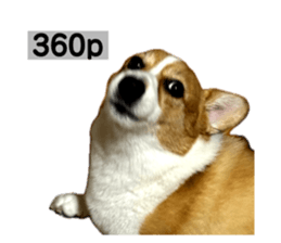 720834060
