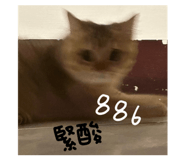 720834287
