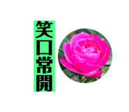 720835005