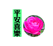 720835006