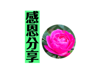 720835007