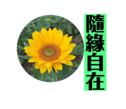 720835029