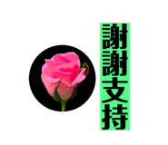 720835033
