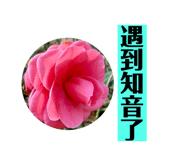 720835038