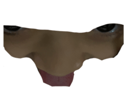 720838286