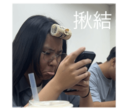 720840511
