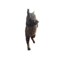 720882827