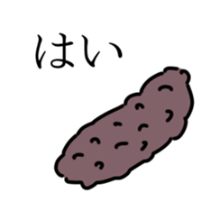 72090396