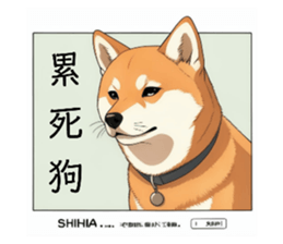 720905705