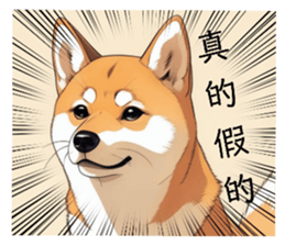 720905706