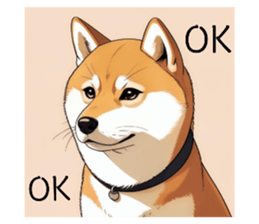 720905710