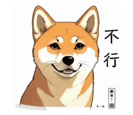 720905715
