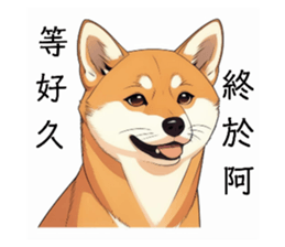 720905717