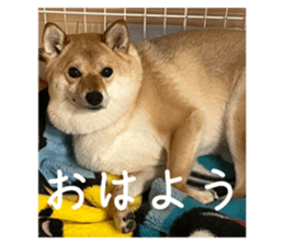 720940365