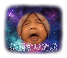 720953956