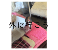 720968259