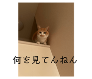 720968261