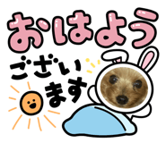 720980653